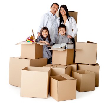 Illustration of annual policy review for Brentcross removals